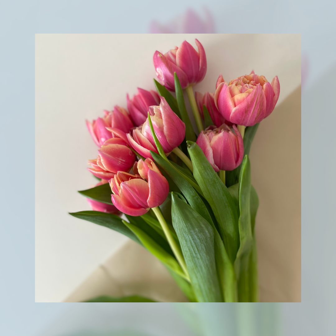 Carrying on the Tradition of Love on Mother’s Day